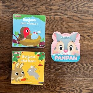 Set of 3 French Board Books - Bonjour petit oiseau et bébé lapin/ Je suis Panpan
